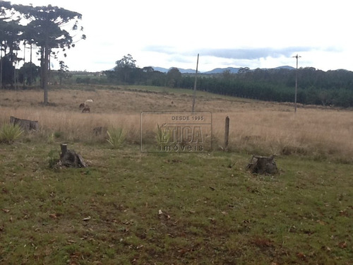 Imagem 11 de 30 de Chácara/fazenda/sítio Com 4 Dormitórios À Venda Por R$ 7.000.000,00 No Bairro Águas Claras - Piraquara / Pr - Ch1601