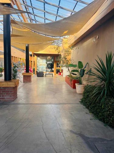 Locales Comerciales En Arriendo Curicó (91260)