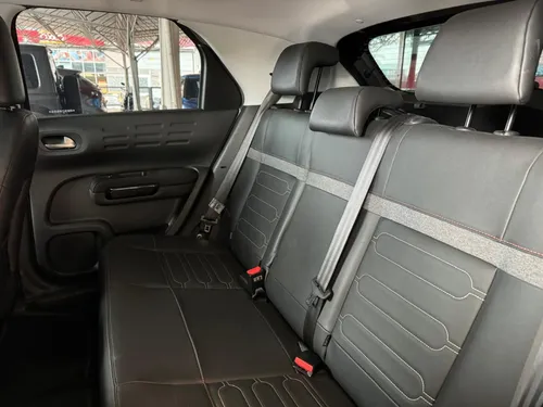 C4 Cactus Shine