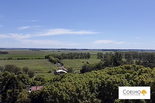 Imagen 29 de 30 de Terreno - Carmen De Areco