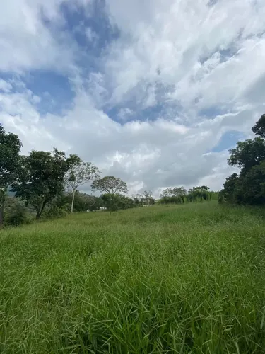 Pance, 6.000 M2.
