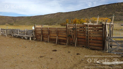 Imagen 8 de 30 de Campo En Venta De 14.000 Has En Neuquen Patagonia Argentina - Estancia Ganadera