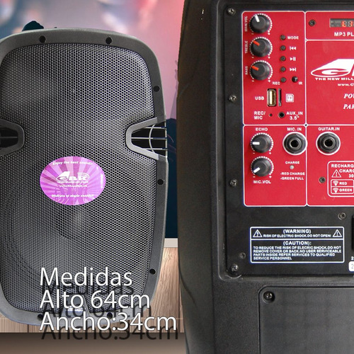 Bafle Potenciado 15'' Pl600 Bateria Bluetooth Usb 2 Micro In
