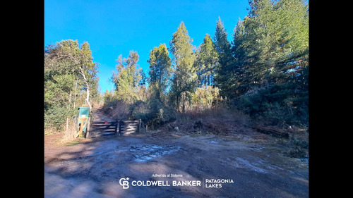Venta Lote/terreno 1261.33 M2, Uf 1, Selvana, Villa La Angostura