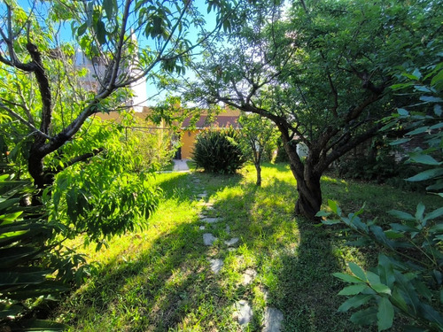 Casa De 3 Ambientes Con Local Y Gran Parque En Zapata Al 700, Banfield Oeste