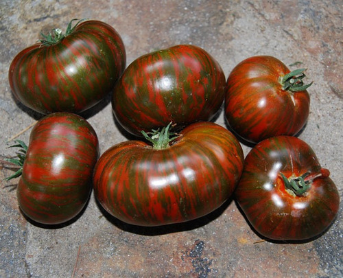 15 Sementes De Tomate Chocolate Stripes - Variedade De Usa