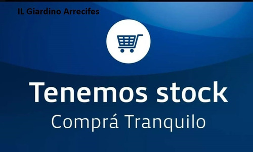 Reposera Descansar 5 Posiciones Aluminio