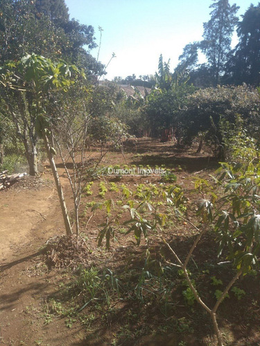 Imagem 8 de 14 de Linda Chácara Há Poucos Minutos Do Centro De Ibiúna.cód260