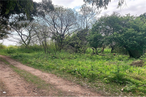 Imagen 1 de 15 de Hectareas Venta En Villa Elisa, Ideal Ley Habitat
