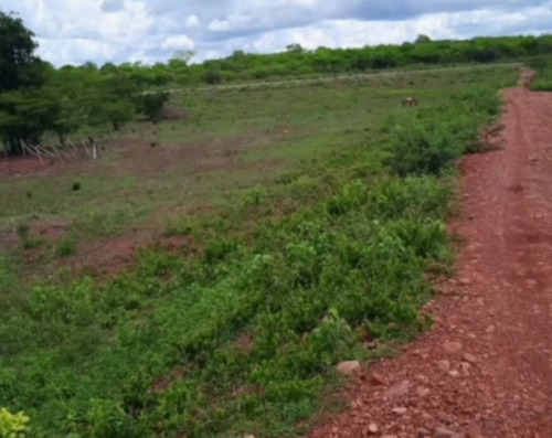 Imagen 10 de 11 de Finca En Altagracia De Orituco- Guarico