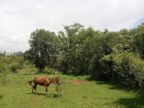 Sitio - Pereiras/sp - 12.000 Mil Metros - R$ 400.000,00