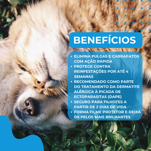 Antipulgas Carrapato Cães Gatos Effipro Spray 100ml + Brinde