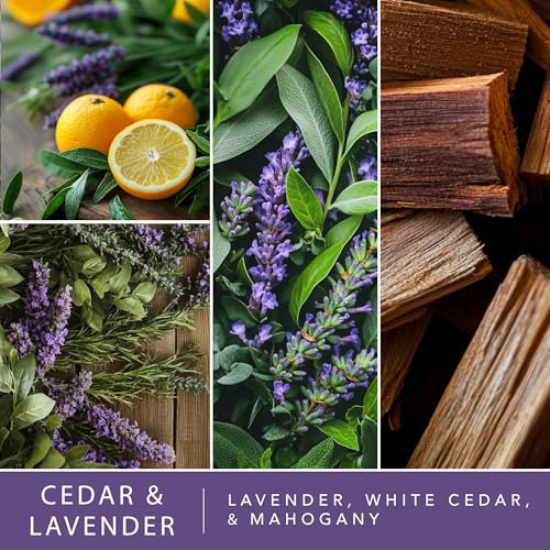 Scentsationals Wax Melts, Cubos De Cera Con Aroma Fuerte - C