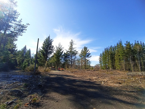 Sitios El Arrayan , Ruta O 60 Km 17 Cam Unihue Talcamavida