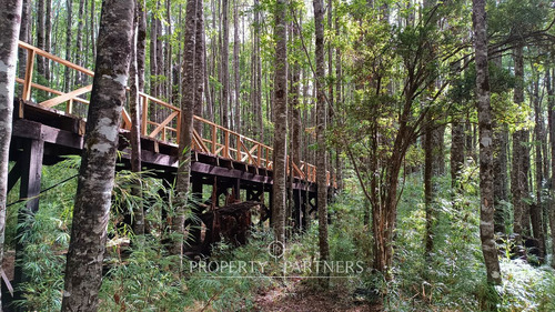 Lindo Terreno En Reserva Biológica Huilo Huilo
