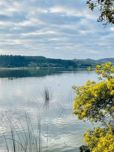 Parcelas Semiplanas A 8 Minutos Del Lago Vichuquén, 