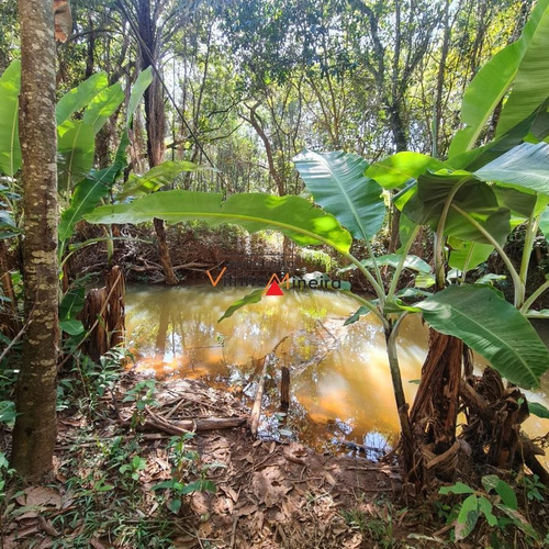 Imagem 4 de 13 de Chácara Para Venda Em Itatiaiuçu, Mg431, 3 Dormitórios, 1 Banheiro - 70618_2-1622844