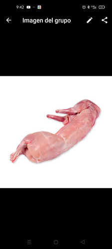 Conejo En Canal Carne De Conejo Magra