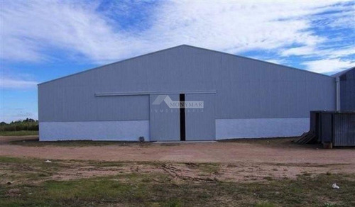 Imagen 5 de 16 de Local Galpon Deposito Colonia Nicolich Alquiler Ruta 101 Y Ruta 102 A 2km Aeropuerto Y 25km Puerto