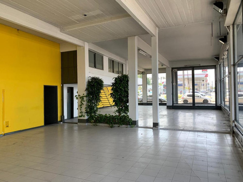 Imagen 11 de 30 de Local Comercial Y Galpón 1450 M² Cub. - Frente A 3 Calles Sobre Avenida - S.justo (ctro)