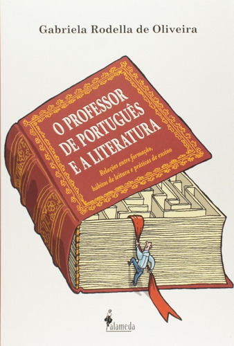 Libro O Professor De Português E A Literatura - Gabriela Ro