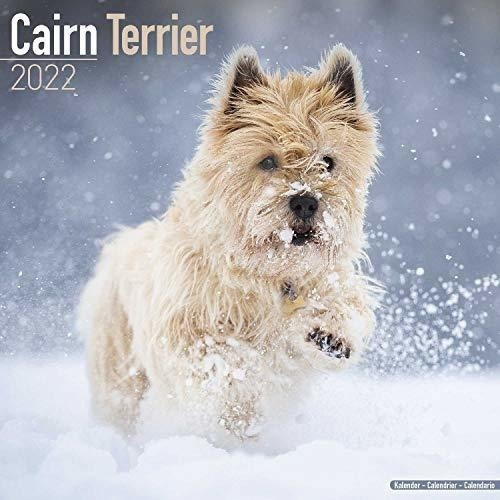 Cairn Terrier Calendar Dog Breed Calendars 2021 