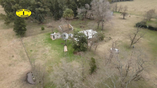 Imagen 7 de 29 de 3102hp- Venta Campo 1317 Hs Ganadero -rauch - Las Flores -