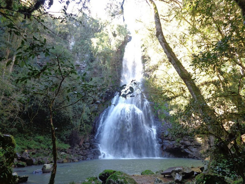Imagen 3 de 7 de Lotes En Medio De La Selva Misionera