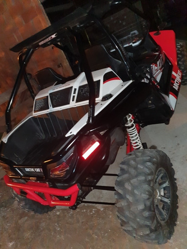 Wild Cat 1000