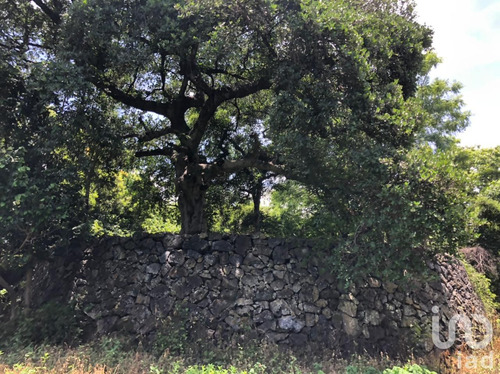 Venta Terreno 0 Ambiente San Andrés De La Cal