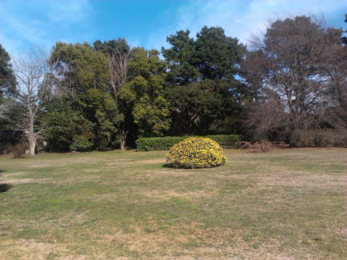 Imagen 15 de 27 de Quinta En Venta - 5 Dormitorios 3 Baños - 396mts2 - Mar Del Plata