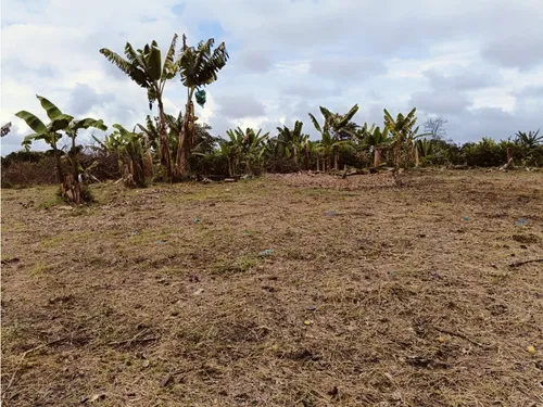 Se Venden Lotes En Quimbaya - Quindío