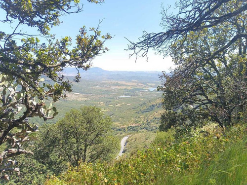 Terreno En Venta En Sierra De Lobos