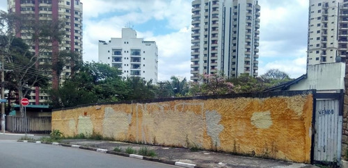 Imagem 1 de 9 de Terreno À Venda, Jardim Avelino, Com 551m² De Área , Plano, Pronto Para Construir, Esquina - Sp - Te0206_prst