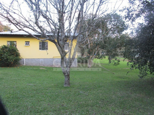 Imagem 3 de 15 de Sitio - Sitios - Ref: 98116 - V-98116