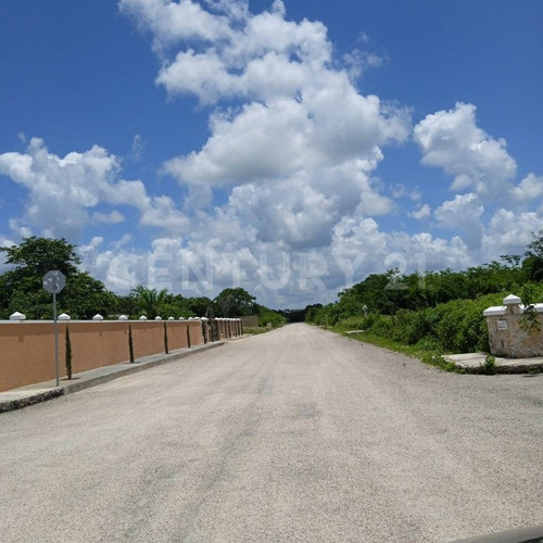 Terreno En Venta, En Chicxulub, Yucatán