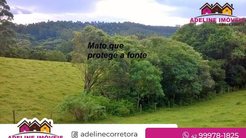 Imagem 3 de 11 de Área Rural - Castro