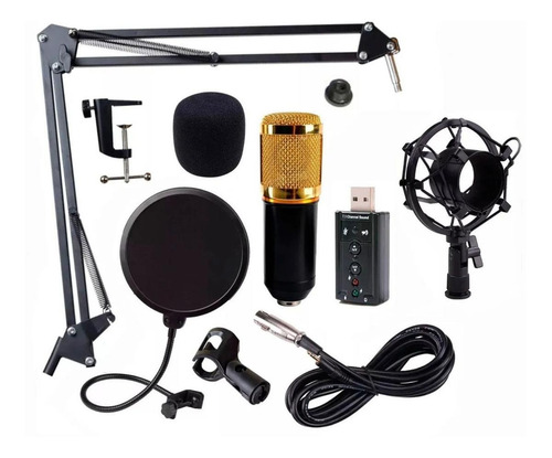 Imagen 1 de 1 de Micrófono Audiotek BM800 condensador omnidireccional negro