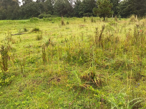 Imagen 4 de 5 de Terreno Para Día De Campo