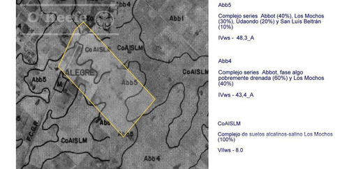 Imagen 15 de 19 de Campo Mixto De 280 Has Con Inmejorable Acceso Sobre Asfalto En Alegre - Oportunidad !