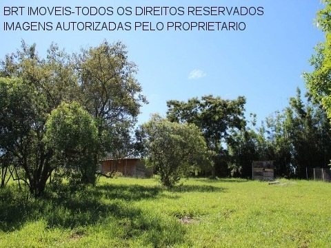 Imagem 8 de 21 de Te00110 - Taipas De Pedra - São Roque - Sp - Te00110 - 33617461