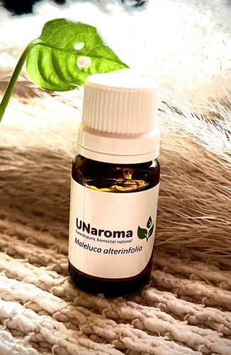 Aceite Esencial De Melaleuca Tea Tree, Aromaterapia, Natural