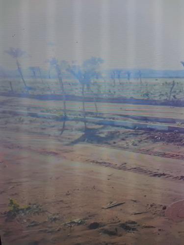 Vende-se Dois Terrenos De 1mil Metros Quadrados 20x50.