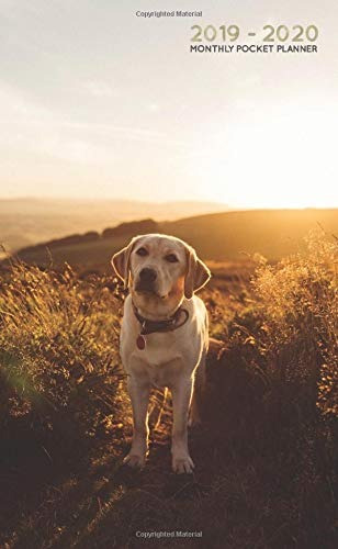 20192020 Monthly Pocket Planner Golden Labrador At Sunset (2