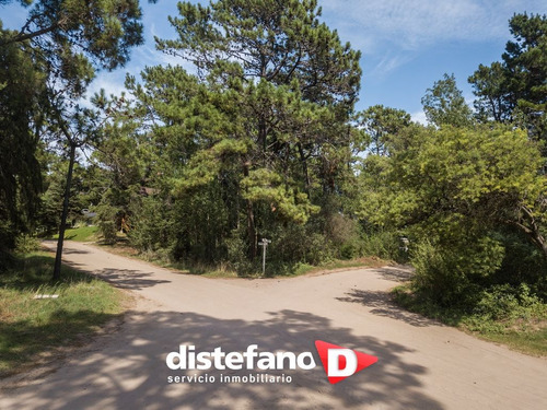Terreno En Venta En Carilo