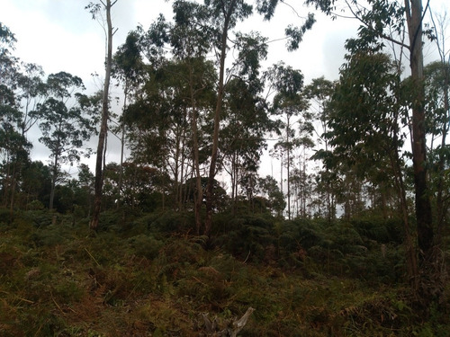 Imagem 3 de 12 de Chácara 1000 Mts Em Ibiúna