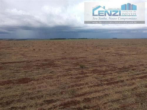 Imagem 5 de 29 de Fazendas À Venda Em Cacu/go - Compre O Seu Fazendas Aqui! - 1479755