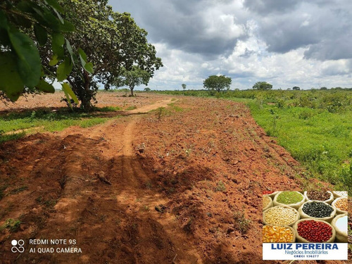 Imagem 14 de 14 de Fazenda À Venda Em Santa Rita Do Pardo - Ms - 650 Hectares (pecuária) - 1657