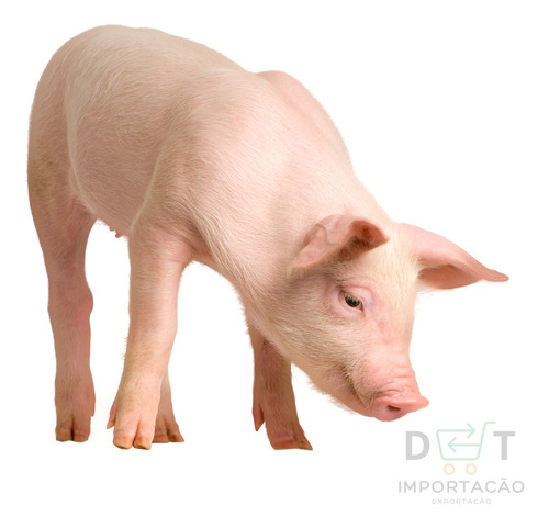 Engordan La - 1 Uni - 500 Ml Animais De Médio E Grande Porte