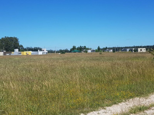 Imagen 2 de 5 de Terreno En Venta En Paraje Chacras De Atlantida